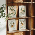 4 Vertical 5x7 Frames Mockup With Sunlight