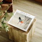 Square Frame Mockup With Reflection