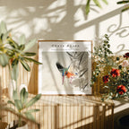 Square Frame Mockup With Sunlight