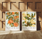 2 Vertical 3x4 Frames Mockup With Sunlight