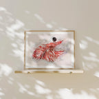 Horizontal 4x3 Frame Mockup With Sunlight