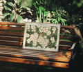 Horizontal Exterior 4x3 Frame Mockup With Sunlight