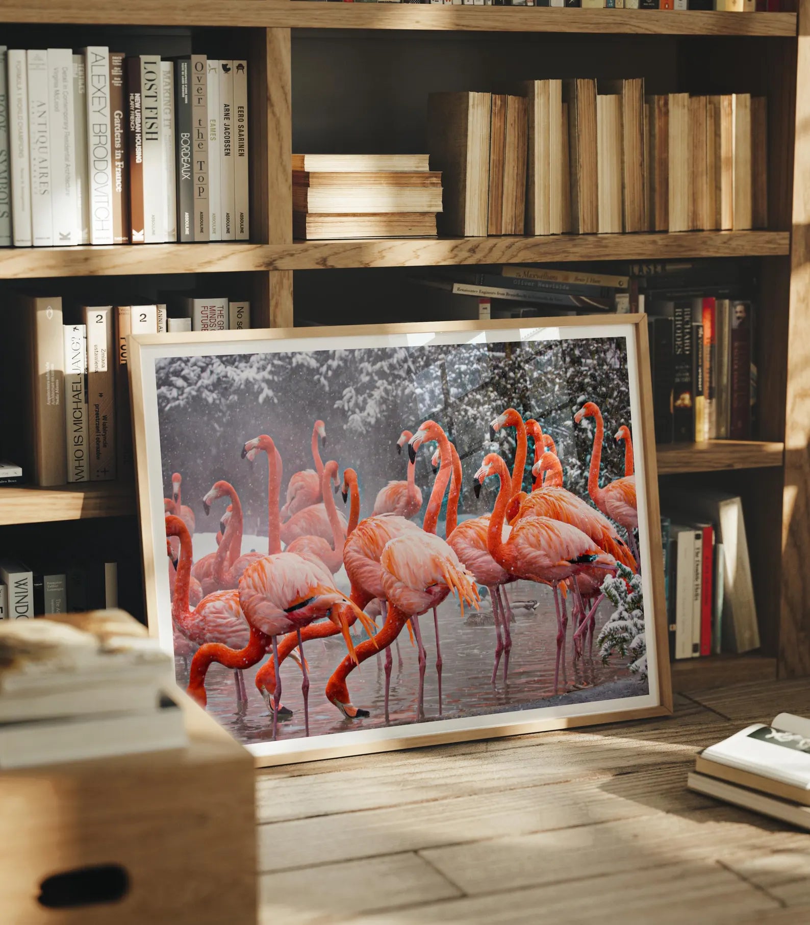 Horizontal Library 4x3 Frame Mockup With Sunlight