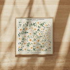 Square Frame Mockup With Sunlight